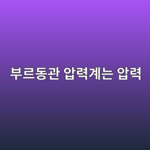 부르동관 압력계는 압력에 따라 바늘을 움직이는 원리 6 ebb680eba5b4eb8f99eab480 ec9595eba0a5eab384eb8a94 ec9595eba0a5 1791934263